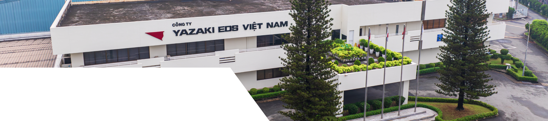 Hòm thư tố giác